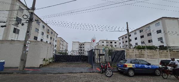 Jardim dos pássaros