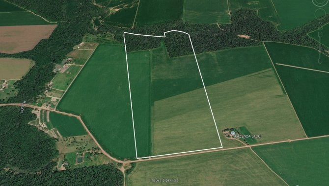 Imóvel Rural 81 ha (Sítio São Pedro) - Ipiranga do Norte - MT
