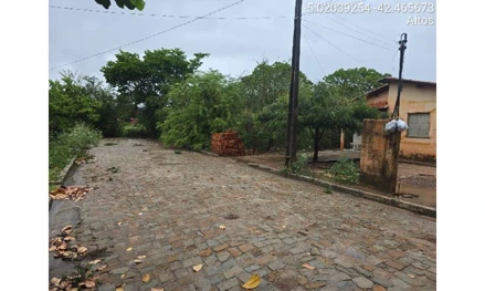 Altos - carrasco