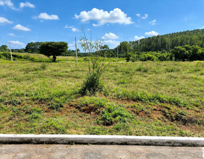 UM TERRENO URBANO NO RESIDENCIAL VALE DA SERRA EM ANDRELÂNDIA/MG - Lote 001 (ID 28020)