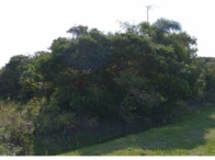 Terreno c/ 250m² - Ilha Comprida/SP