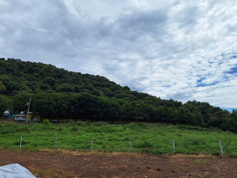 Parte lote rural nº 114, da primeira secção baitaca, com a área de 50.000m², na linha são marcos, em constantina/rs