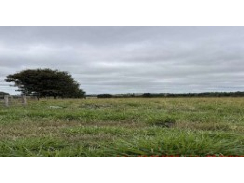 Área rural à venda em leilão