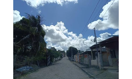 Montanha - vinhático
