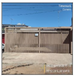 Samambaia - samambaia sul