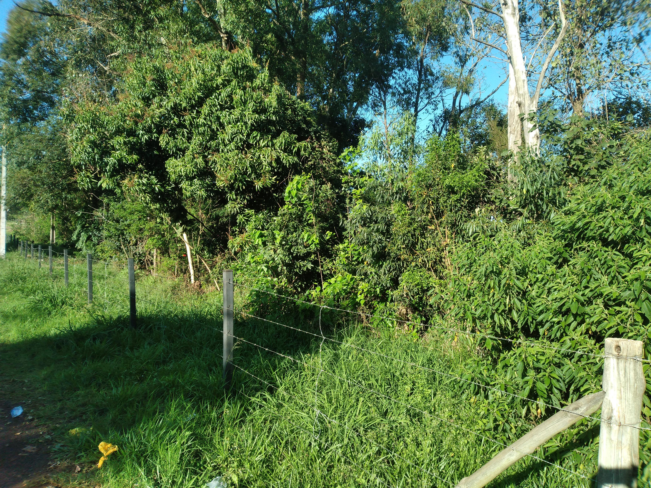52 lotes, 27.837m² no bairro são gabriel em capitão leônidas marques/pr - desocupado!
