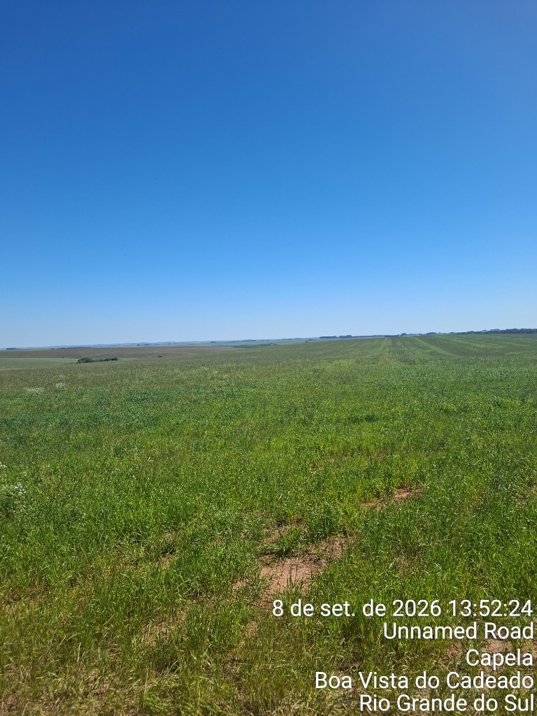 Área rural c/ 24,50 hac - boa vista do cadeado / rs