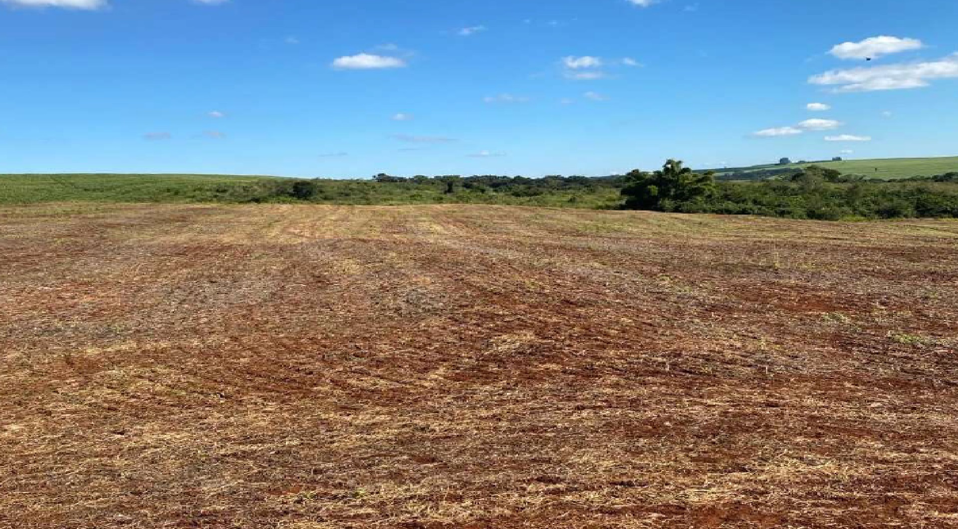 Lote 1.1 - imóvel c/ 10 alq. em nova américa da colina/pr