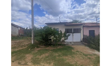 Iacu - boiadeira