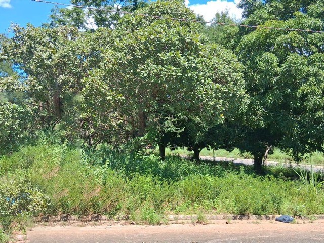 Terreno - minaçu | goiás