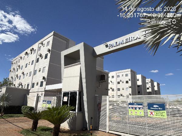 Cond palmeira real
