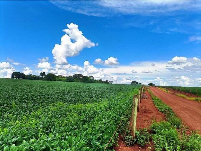 Imóvel rural em Rio Verde/GO