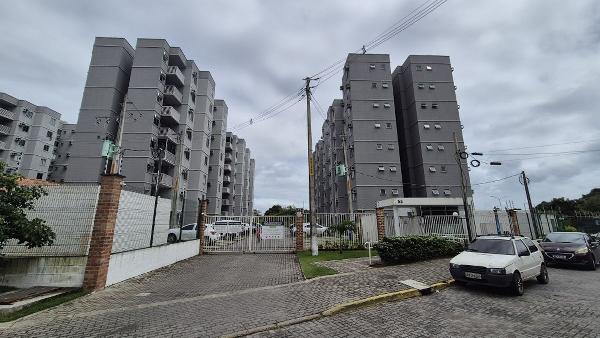 Aurora do pq
