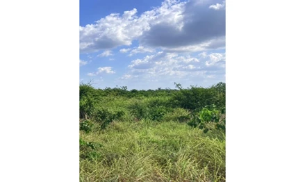 Imóvel Rural em Leilão em Bela Vista do Maranhão / MA - 3067038