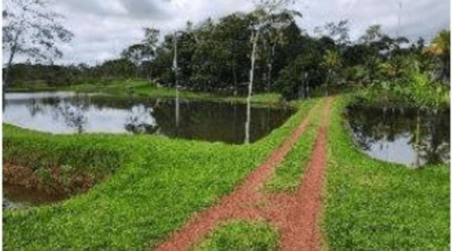 Leilão extrajudicial sicoob - 1 terreno | área de 4,84ha | rolim de moura/ro