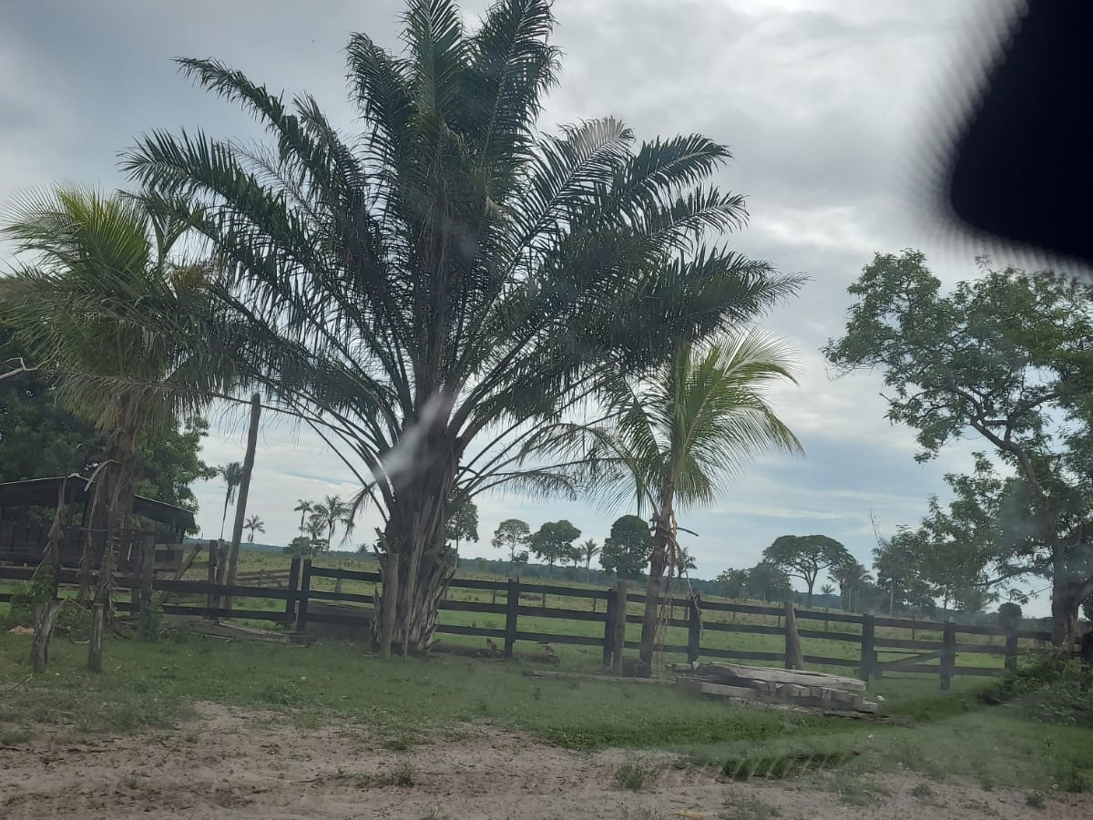 Imóvel rural — aproximadamente 72 ha — Nova Mamoré/RO