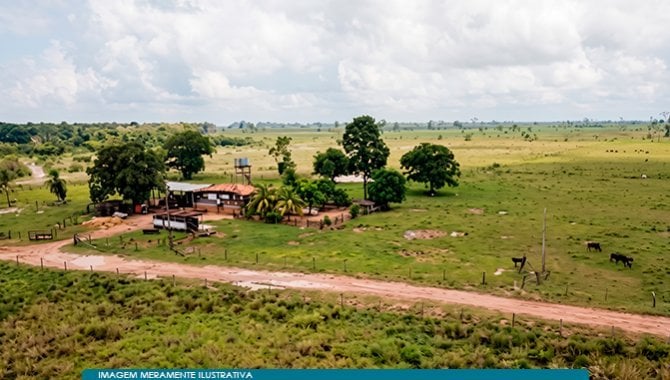 Imóvel Rural 21.780 m² (Fazenda) - Acará - PA