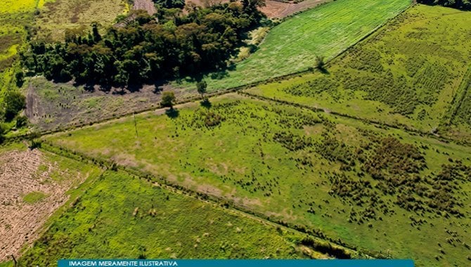 Imóvel Rural 57 ha (Fazenda Santa Helena) - Guaíra - SP