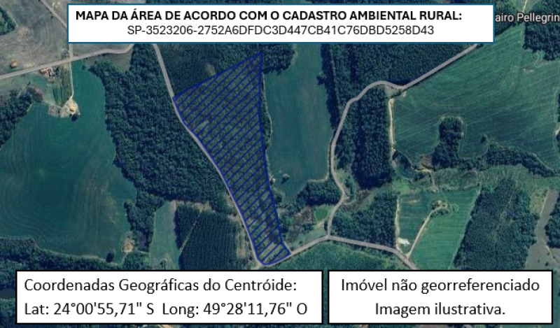 Imóveis Rurais e Urbanos - Lote 008 (ID 1739)
