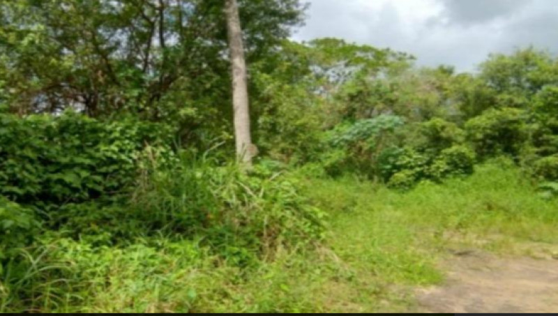 PARTE DE TERRAS MEDINDO 7 HECTARES, DENOMINADA "GRANJA SANTA MARTA", DESMEMBRADA DO SITIO SÃO JOÃO, IGARASSU/PE - Lote 158 (ID 3469)