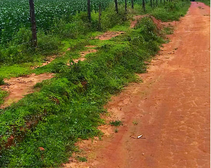 1/3 ou 33,33% de um quinhão de terras de campo do imóvel situado na fazenda CHÁCARA DO ATALHO, Ipameri-GO