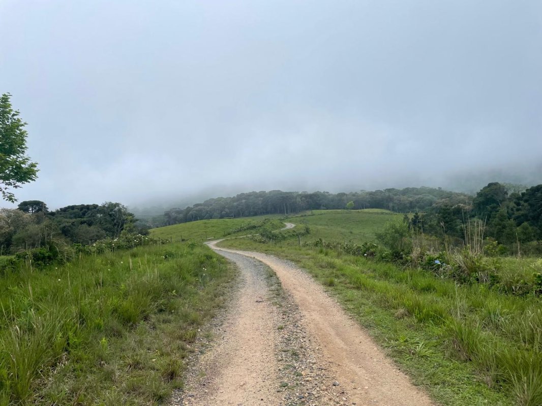 01 (um) terreno urbano situado no bairro São Miguel, município de Campo Alegre, contendo a área de trezentos e oitenta e nove mil e trezentos e trinta e três metros e sessenta e cinco decímetros quadrados (389.333,65m2), quase na divisa com a Localidade de Laranjeiras, pouco antes da Policia Rodoviária Estadual, com acesso pela SC 418, imóvel de grande extensão, sendo que pouco menos da metade de sua área é coberta por mata nativa, cerca de 175.258,18 de área de mata nativa, tendo demais caracte