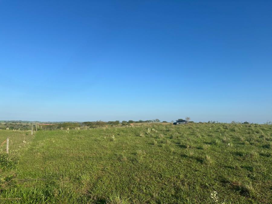 Imóvel rural em martinópolis ( sp)