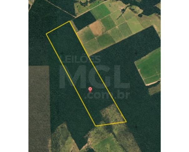 São josé do rio claro/mt – fazenda com ampla extensão territorial (484 hectares), no estado do mato grosso fazenda em leilão | mgl leilões