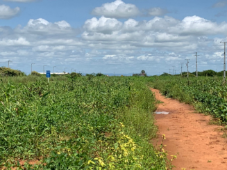 Lote - Portal da Chapada, Apodi/RN Praça Única 26/10/2026 À vista