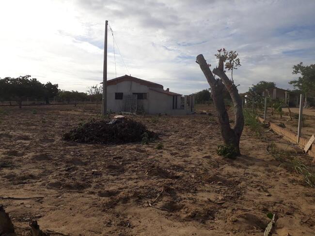 Uma parte de terra localizada no sitio montevidéu, zona rural do município de nova floresta-pb, medindo 01 hectare, distante aproximadamente 1,1km da zona urbana