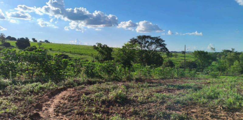COTAPARTE IMÓVEIS PARANÁ - Lote 018 (ID 17787)
