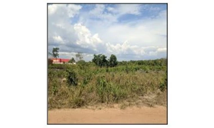 Parque moises amorim
