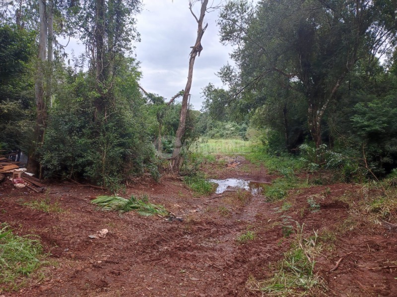 Cargnelutti Leilões | CERRO LARGO/RS - Lote 002 (ID 44231)