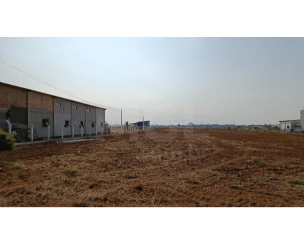 Cerejeiras/ro - terreno urbano com 3.125,00 m² no parque industrial cerejeiras lote em leilão | mgl leilões