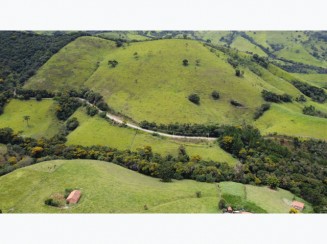 Imóvel Rural em Olaria