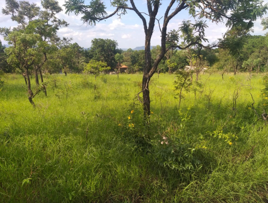 1.0 - terreno área total 2025m² - planalto da serra verde - itirapina/sp