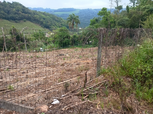 Lote 2: uma área de terras urbanas com 1.633,80 m², em caminhos da eulália, bento gonçalves/rs