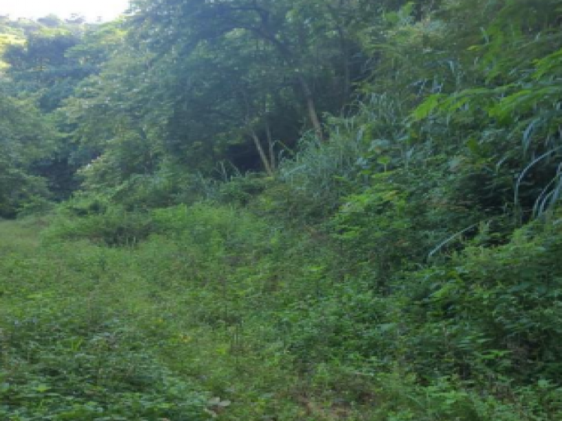 Lote, Residencial, Jacarepaguá - Rio de Janeiro/RJ