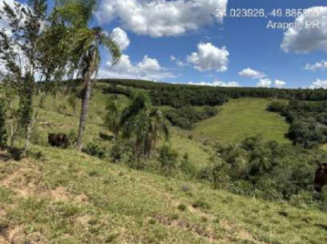 Gleba 01 a.t. 48.400 m² - arapoti/pr