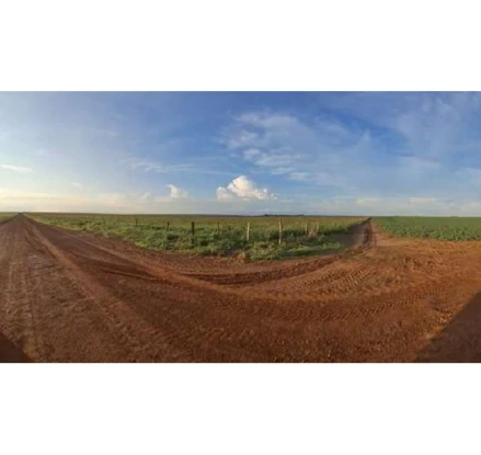 Lote 2