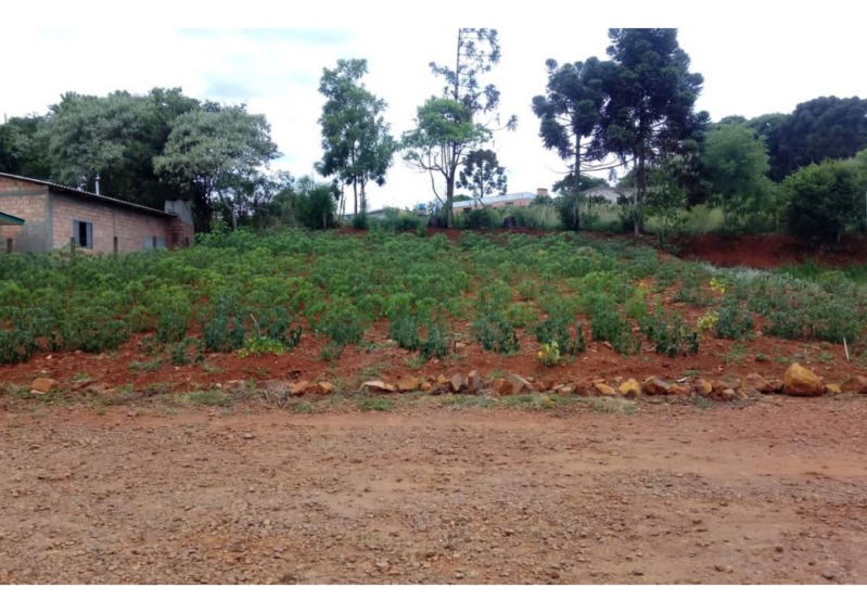 Lote urbano, com a área 287,59m², em ronda alta/rs