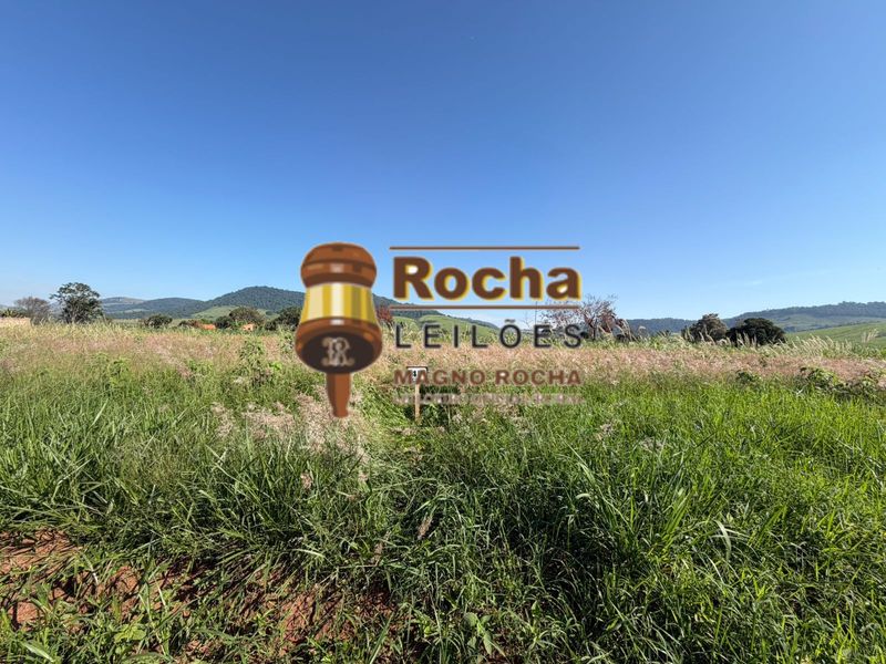 Lote 45