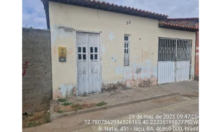 Iacu - boiadeira