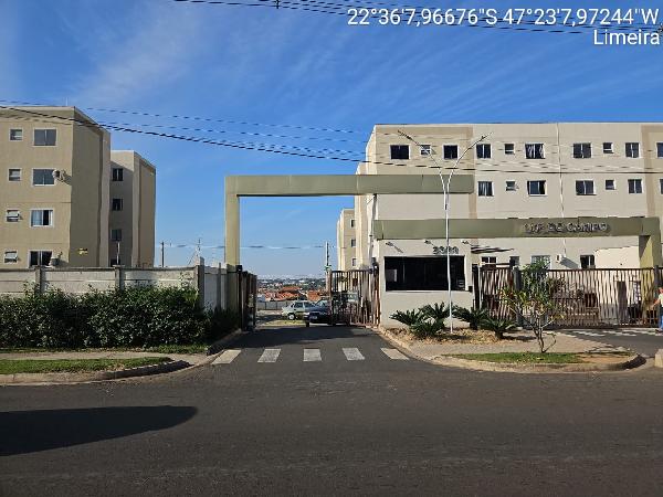 Res luz do campo
