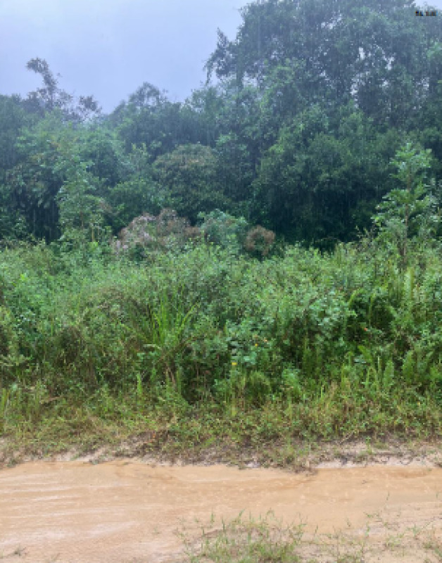IMÓVEL EM ITANHAÉM | SP - Lote 001 (ID 789)