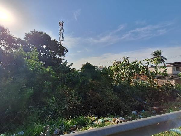 Sao goncalo - jardim catarina