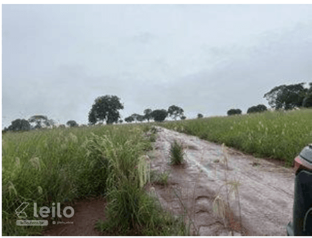 GUAPO/GO - TERRENO COM 826,633 M