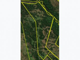 matrícula nº 48.650 (4,79ha - R.9-48.650) do Cartório de