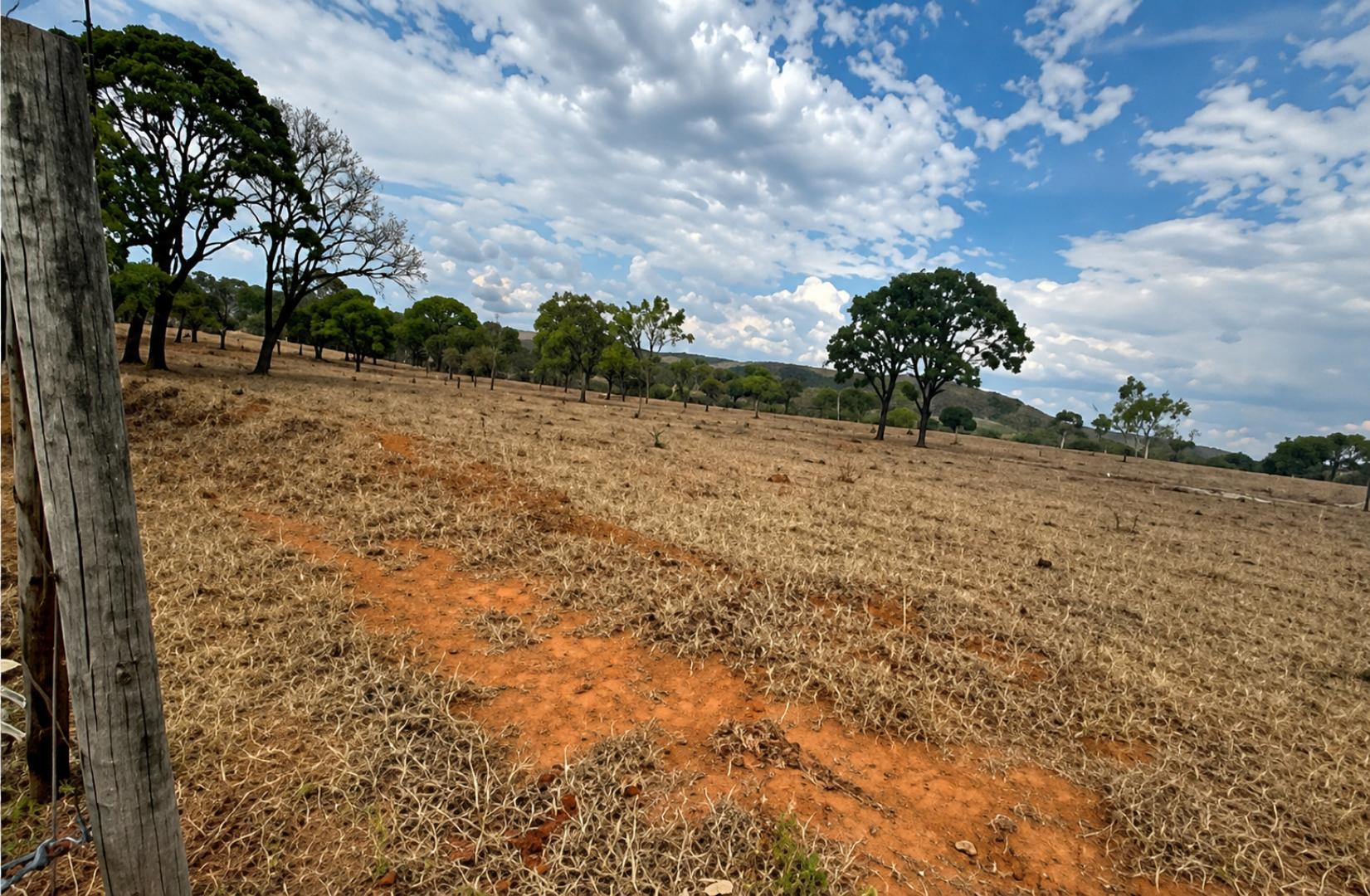 Glebas em lagoa santa/mg