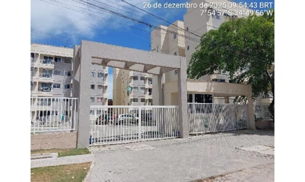 Paulista - pau amarelo